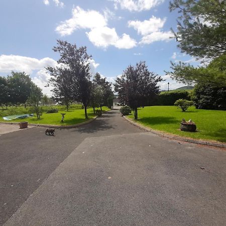 Villa The Laurels Waterford Exterior foto