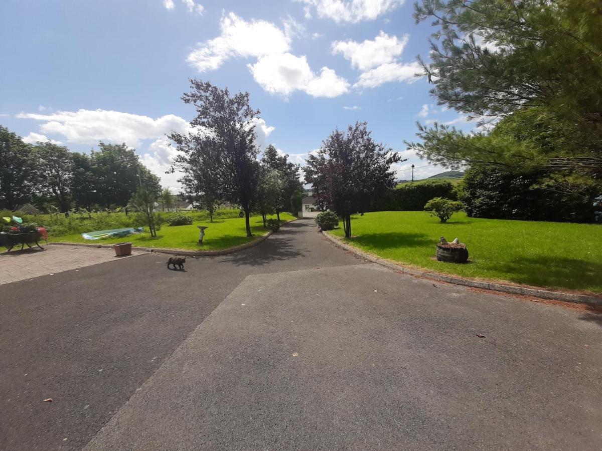 Villa The Laurels Waterford Exterior foto